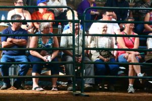 spectators of 4H bovine ring